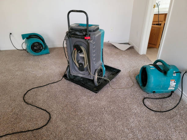 Best Water damage restoration process  in East Marion, NY