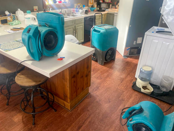 Best Basement water damage restoration  in East Marion, NY