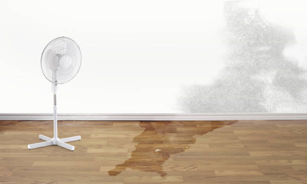 Best Emergency water damage restoration  in East Marion, NY