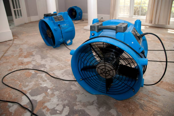 Best Flooded house restoration  in East Marion, NY