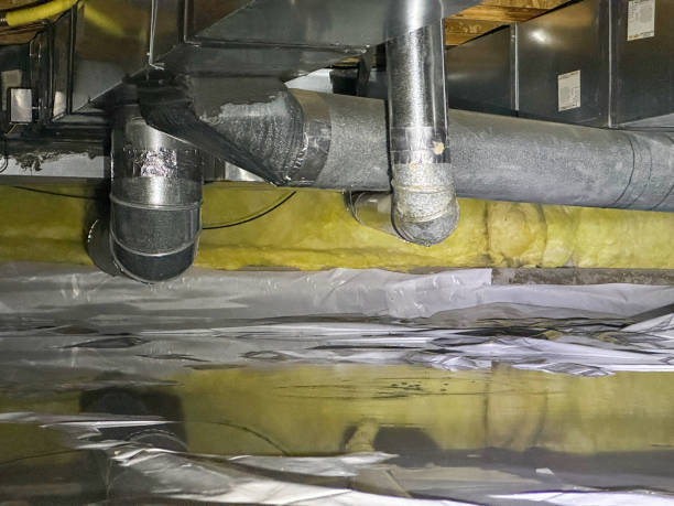 Best Ceiling water damage repair  in East Marion, NY