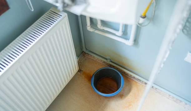 Best Professional water damage repair  in East Marion, NY