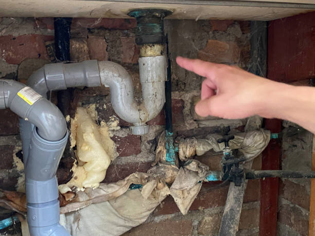 Best Water damage restoration near me  in East Marion, NY
