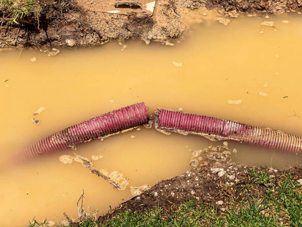 Best Water damage restoration near me  in East Marion, NY